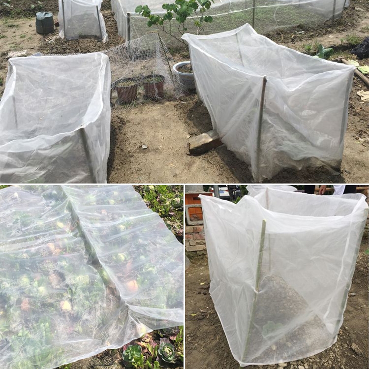 Protect Your Garden with a 1mm Nylon Insect Screen Net
