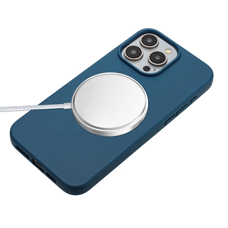For iPhone 11 Pro Max Wheat MagSafe Magnetic Straw Material + TPU Phone Case with Lanyard(Blue) For iPhone 11 Pro Max Wheat MagSafe Magnetic Straw Material + TPU Phone Case with Lanyard(Blue)