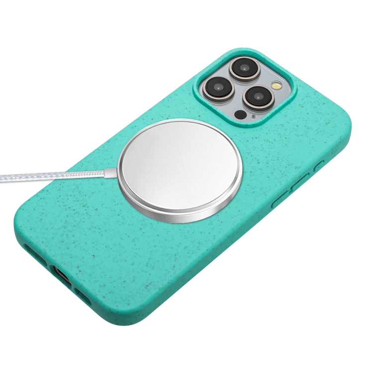 For iPhone 11 Pro Wheat MagSafe Magnetic Straw Material + TPU Phone Case with Lanyard(Green) For iPhone 11 Pro Wheat MagSafe Magnetic Straw Material + TPU Phone Case with Lanyard(Green)