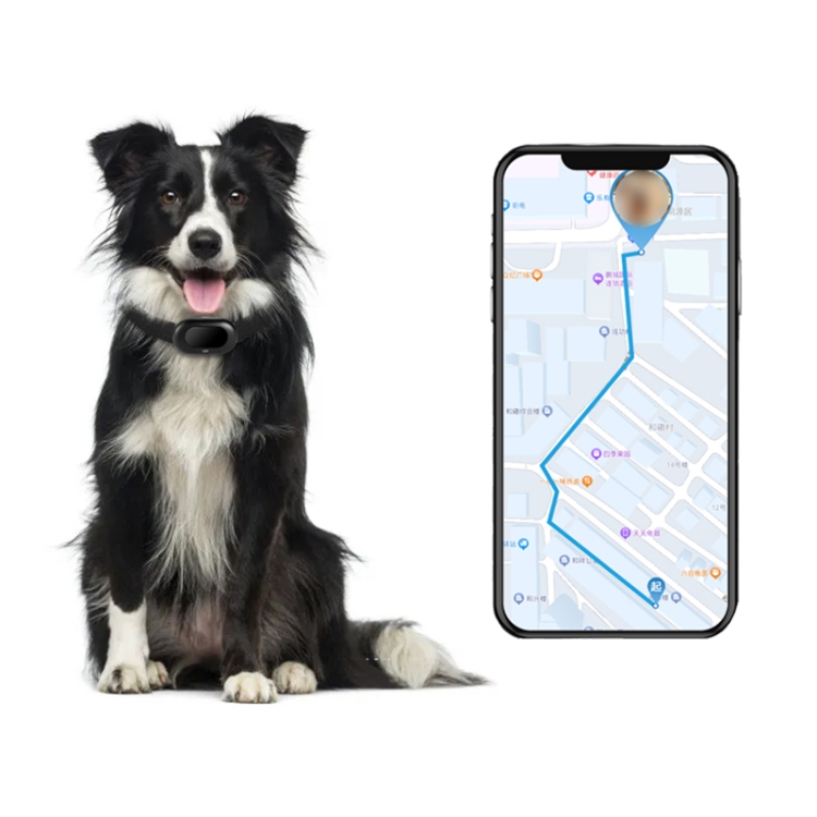 Xiaomi-Mini rastreador GPS portátil para niños y mascotas, localizador  inteligente con Bluetooth 4,0, dispositivo antipérdida