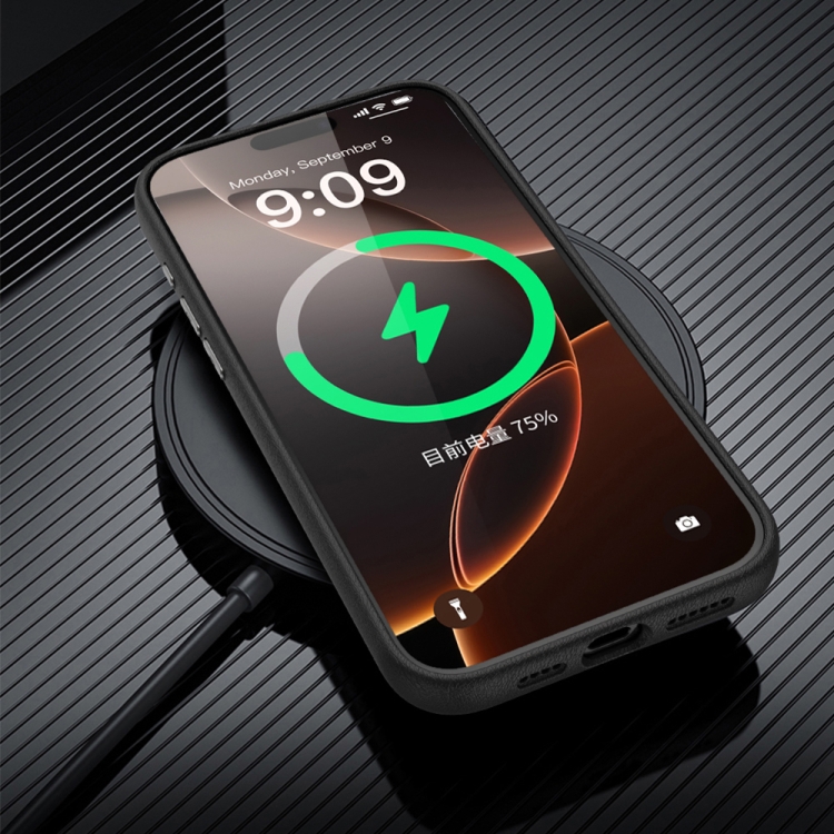 For iPhone 16 Pro TOTU PC-17 Mulsanne Series Plain Leather MagSafe Magnetic Phone Case(Black) For iPhone 16 Pro TOTU PC-17 Mulsanne Series Plain Leather MagSafe Magnetic Phone Case(Black)