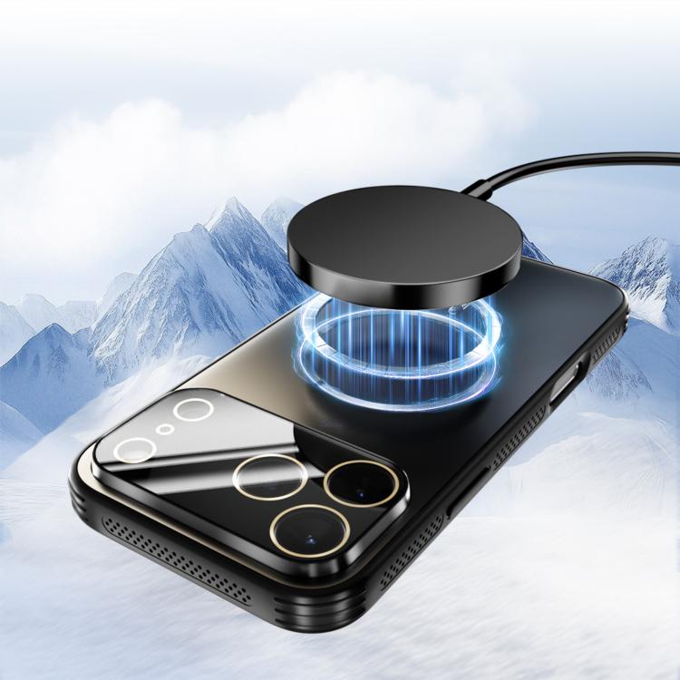 For iPhone 17 Pro Max ABEEL Heat Dissipation Frosted MagSafe Phone Case with Lens Film(Black) - 2