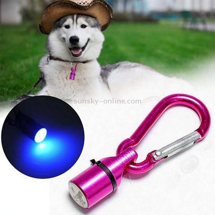 Aluminium -LED -Blinde -Sicherheitsnachtlicht Blinker -Haustieranhänger für  Hund / Katze, zufällige Farbabgabe