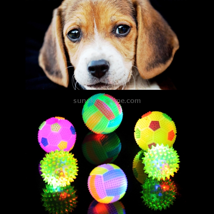 flashing ball dog toy