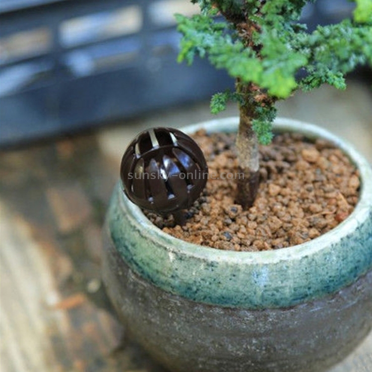 10PCS Attrezzi per bonsai Prodotti per il giardinaggio Attrezzi per il  giardinaggio Scatole per fertilizzanti bonsai, di grandi dimensioni: 5,5 *  4 * 4 cm (caffè)