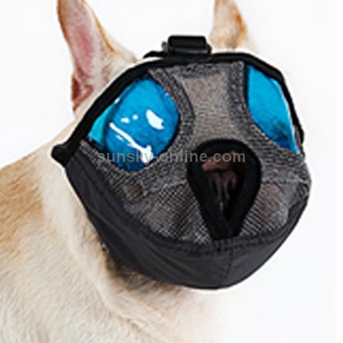 flat nose dog muzzle