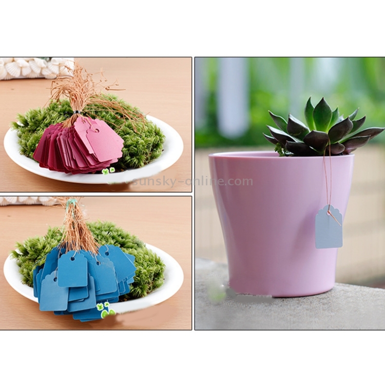 Keep Your Garden Organized with 100 Reusable Waterproof Plant Labels