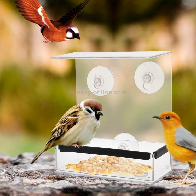 Mangeoire à oiseaux créative en plexiglas transparent