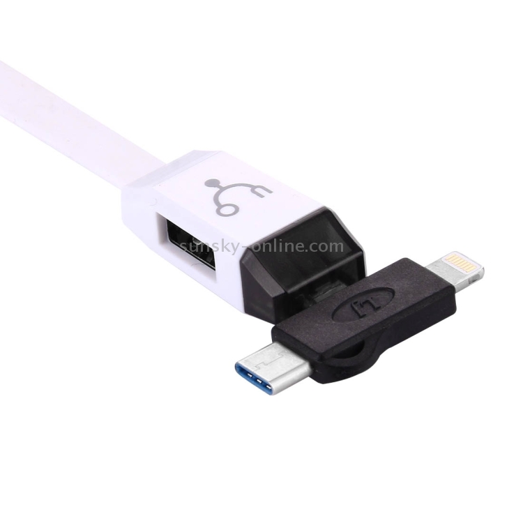 Micro USB Female to 8 Pin & USB 3.1 Type C Male Converter Adapter Micro USB Female to 8 Pin & USB 3.1 Type C Male Converter Adapter