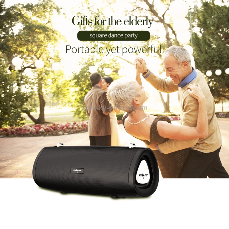 ZEALOT S39 Portable Subwoofer Wireless Bluetooth Speaker with Built-in Mic, Support Hands-Free Call & TF Card & AUX (Black) ZEALOT S39 Portable Subwoofer Wireless Bluetooth Speaker with Built-in Mic, Support Hands-Free Call & TF Card & AUX (Black)