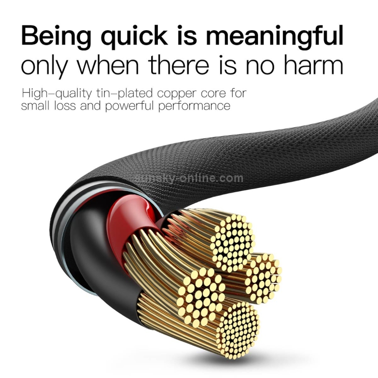 Baseus 5V 2A USB-C / Type-C to 8 Pin Fast Charging Cable, Length : 2m(Red) Baseus 5V 2A USB-C / Type-C to 8 Pin Fast Charging Cable, Length : 2m(Red)