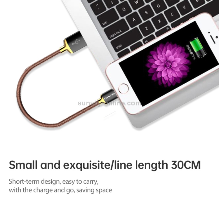 awei CL-25 0.3m 2.4A USB to 8 Pin Metal Fast Charging Cable for iPhone, iPad(Grey)