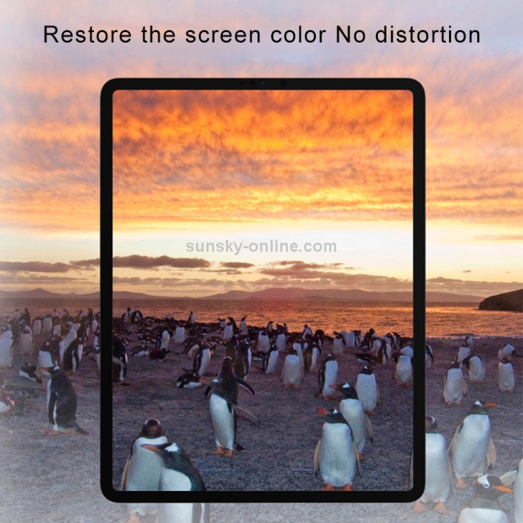0.33mm 9H 2.5D Privacy Anti-glare Explosion-proof Tempered Glass Film for iPad Pro 12.9 (2017) / (2015)
