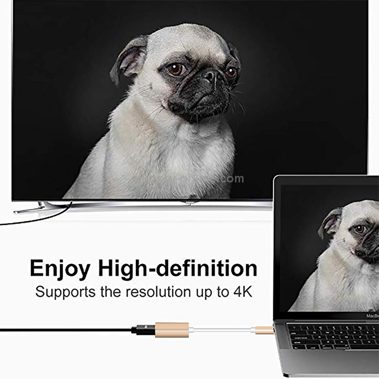 USB-C / Type-C 3.1 Male to Mini DP Female HD Converter, Length: 12cm(Silver) USB-C / Type-C 3.1 Male to Mini DP Female HD Converter, Length: 12cm(Silver)
