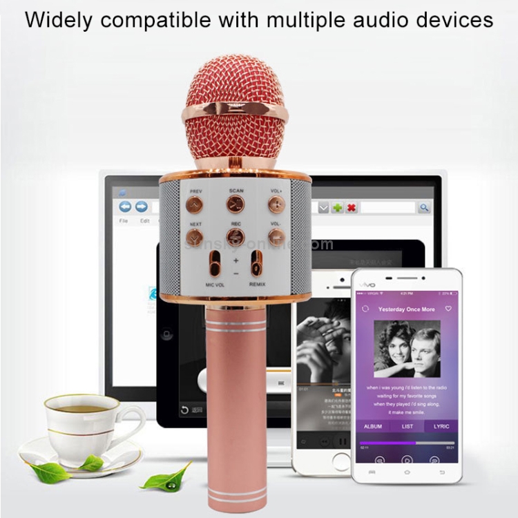 Microphone Bluetooth Sans Fil Haut Parleur Pour KARAOKÉ - WS-858