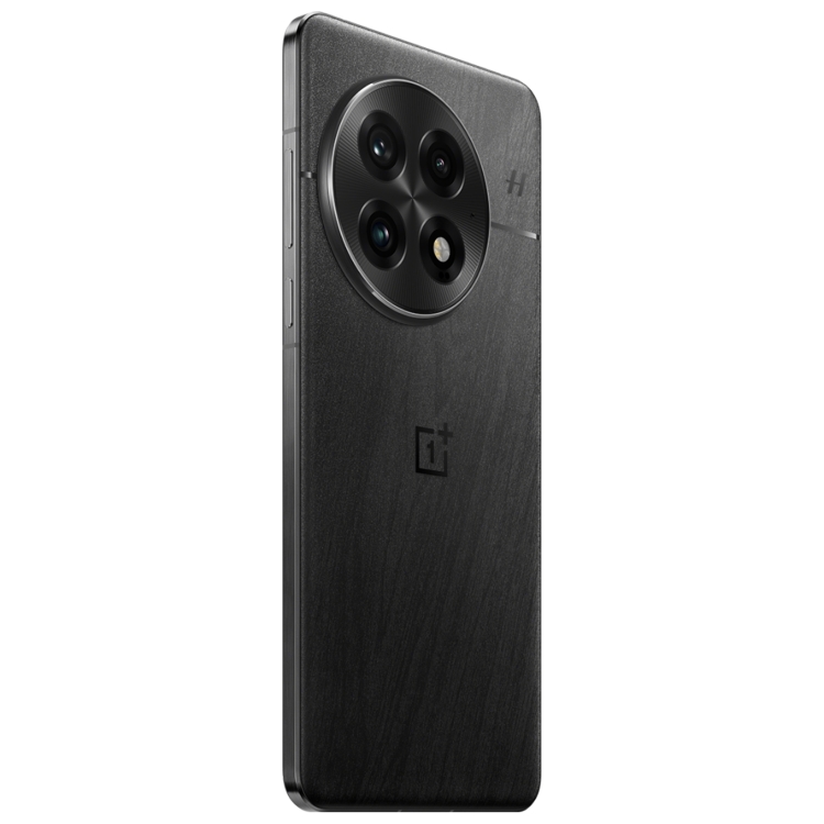 OnePlus 13 PJZ110, 12GB+256GB, Screen Fingerprint Identification, 6.82 inch ColorOS 15.0 / Android 15 Snapdragon 8 Elite 3nm Octa Core, NFC, Network: 5G (Black)
