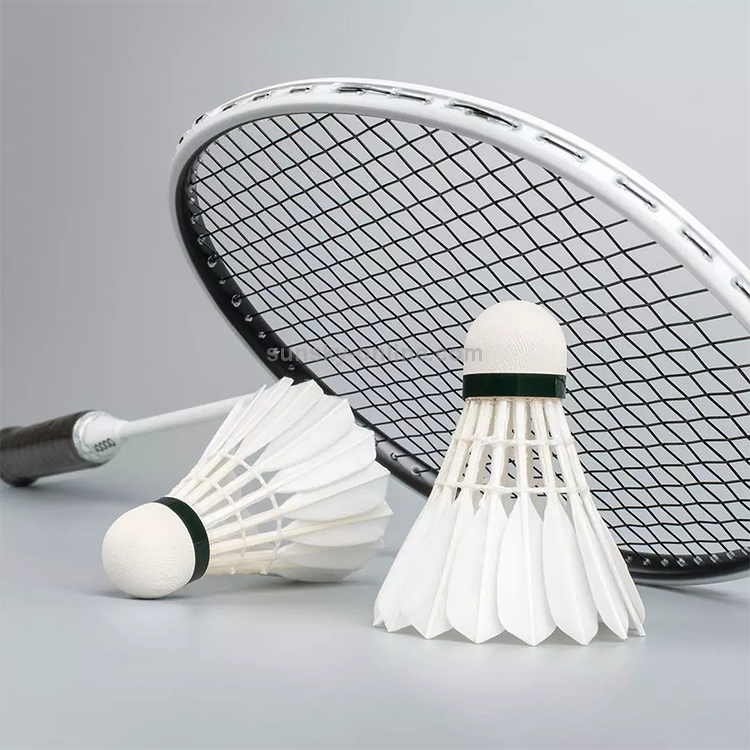 Original Xiaomi Youpin Dooot D03 12 PCS Plume de canard Balle  d'entraînement Badminton