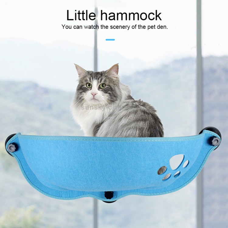 cat hammock chewy