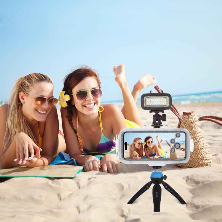 PULUZ 20 LEDs 40m Waterproof IPX8 Studio Light Video & Photo Light with Hot Shoe Base Adapter & Quick Release Buckle & Long Screw & 2 x Filter Plates for GoPro HERO10 Black / HERO9 Black / HERO8 Black / HERO7 /6 /5 /5 Session /4 Session /4 /3+ /3 /2 /1, Xiaoyi and Other Action Cameras