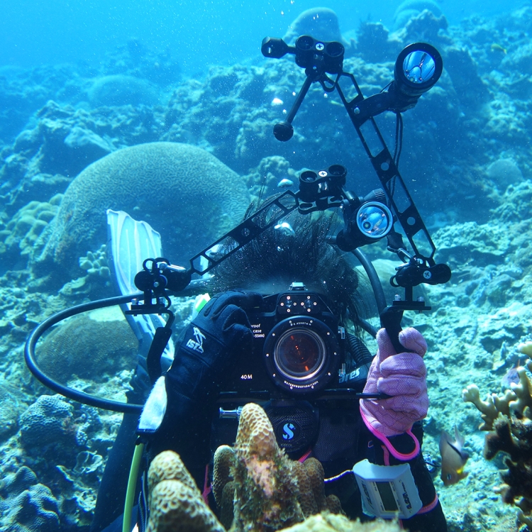 Hochet De Plongée En Acier Inoxydable 316 - Avec Dragonne, 31,5 Cm - Signalisation Et Communication Sous-Marine, Orange