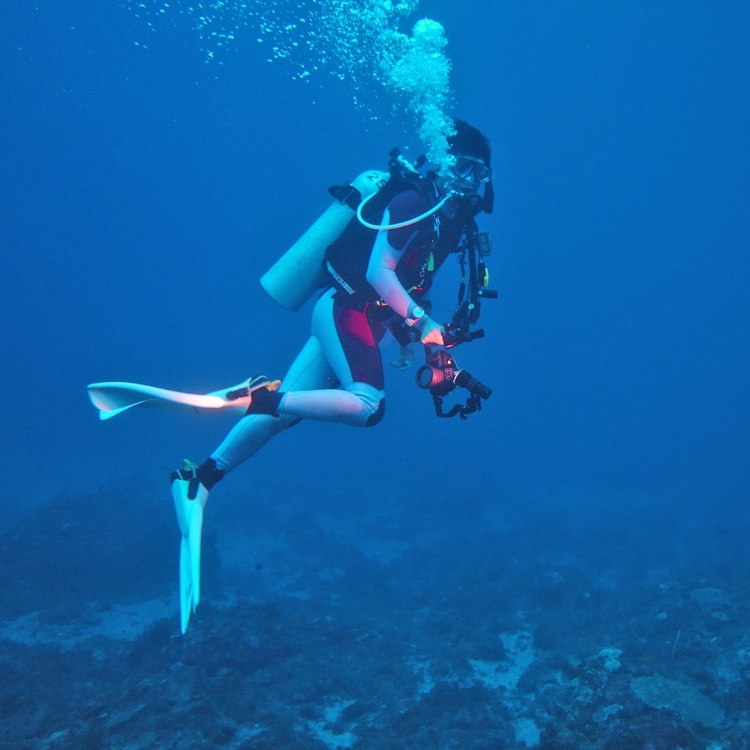 PULUZ 40m profondeur sous-marine boîtier de plongée boîtier d'appareil  photo étanche pour Sony A6000 /
