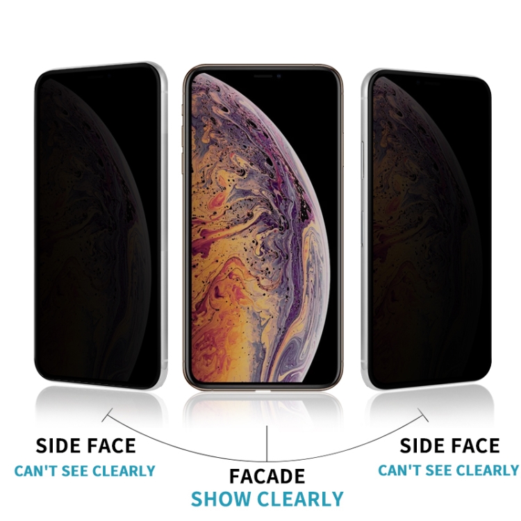 For iPhone 12 Pro Max mocolo 0.33mm 9H 2.5D Full Glue Privacy Anti-glare Tempered Glass Film For iPhone 12 Pro Max mocolo 0.33mm 9H 2.5D Full Glue Privacy Anti-glare Tempered Glass Film