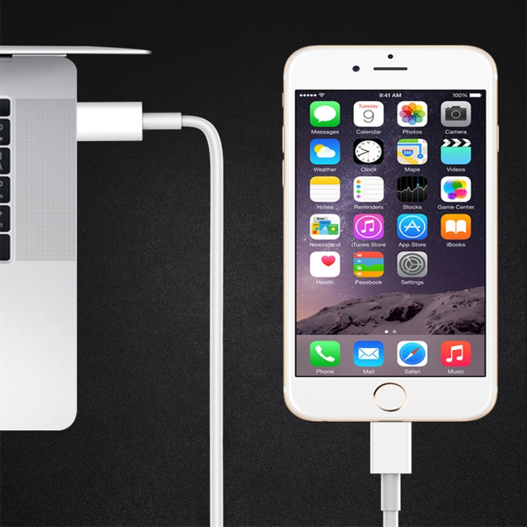 XJ-61 12W USB-C / Type-C to 8 Pin PD Fast Charging Cable, Cable Length:2m XJ-61 12W USB-C / Type-C to 8 Pin PD Fast Charging Cable, Cable Length:2m