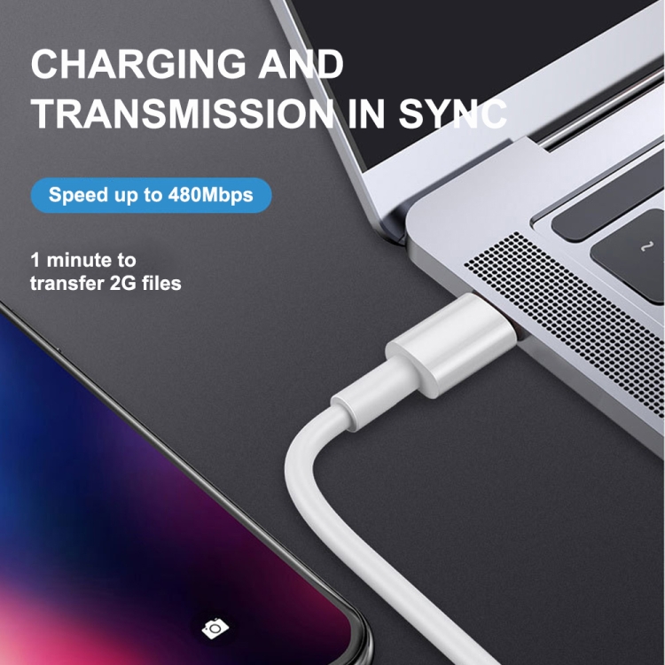 1m PD20W USB-C / Type-C to 8 Pin PD Fast Charging Sync Data Cable for iPhone 13 / 12 Series 1m PD20W USB-C / Type-C to 8 Pin PD Fast Charging Sync Data Cable for iPhone 13 / 12 Series