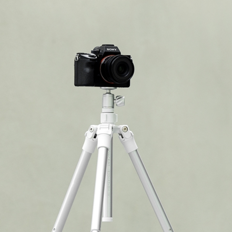 K&F Concept E224A3 Trípode para teléfono DSLR Mini trípode portátil para  cámara de video de aluminio de 67 pulgadas (negro)