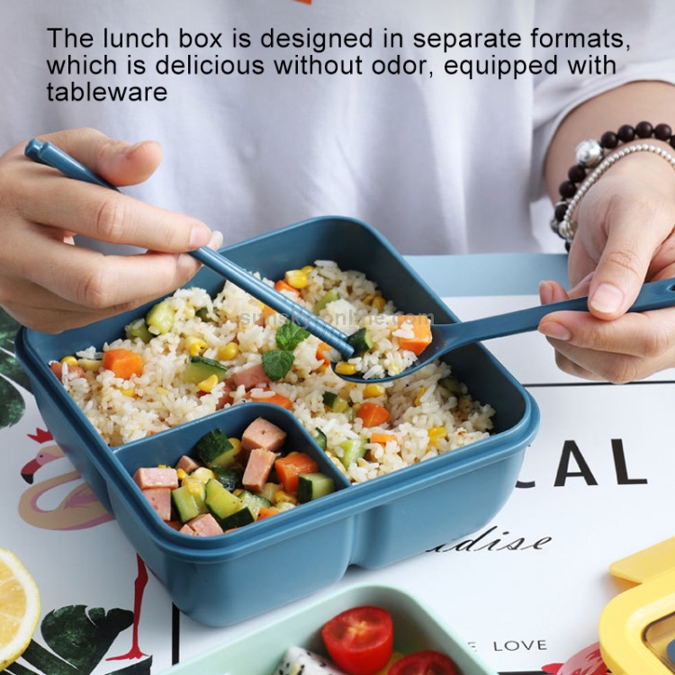 Lunch Box Simple Sealed Leak-proof Compartment Lunch Box, Color:Color Random Delivery