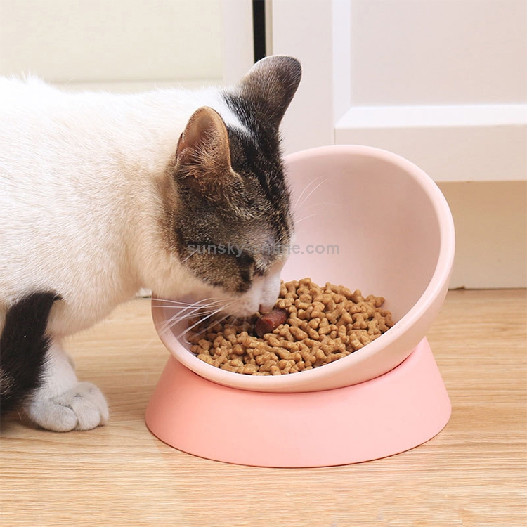 I migliori dispositivi connessi per cani e gatti, dalle ciotole alle  fotocamere