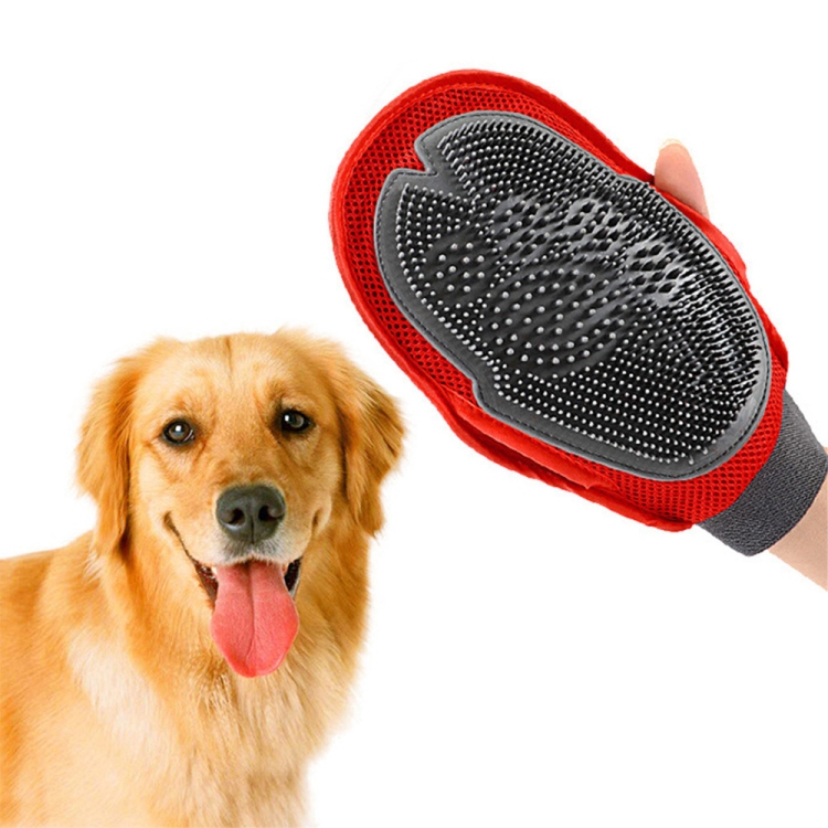 Big dog brush sale