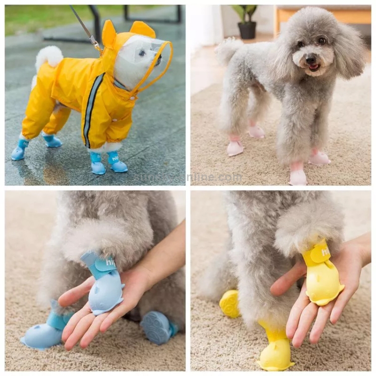 Poodle 2024 rain boots