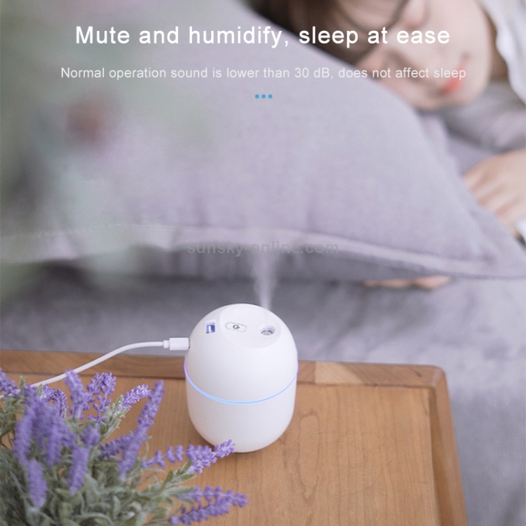 Humidificador desinfectante USB Hogar Dormitorio silencioso Difusor de  aroma de escritorio de gran capacidad (blanco)