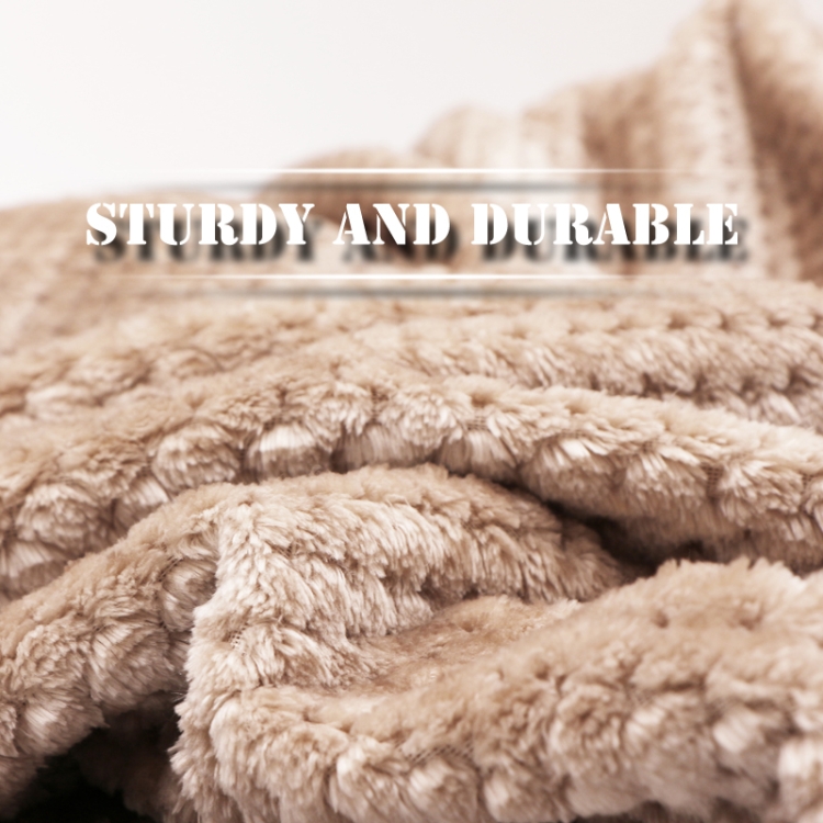 Thicken Solid Color Mesh Pineapple Flannel Blanket Coral Fleece Air