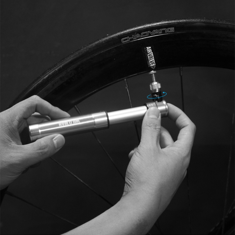 Wildman store bike pump