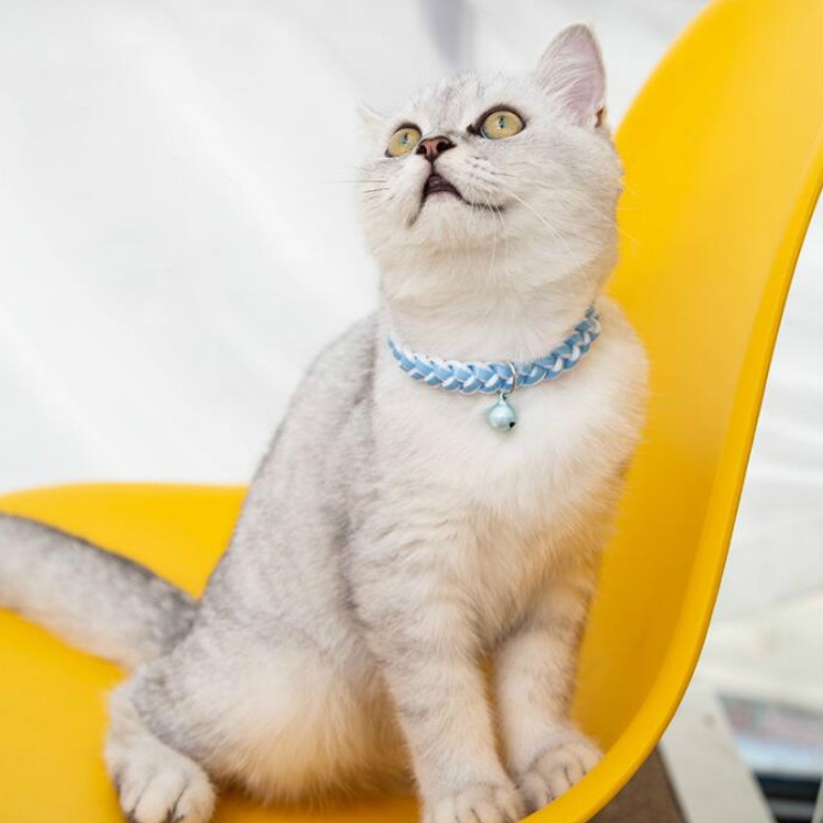 4 PCS Adjustable Pet Bell Color Cotton Woven Cat and Dog Universal Collar,  Colour: Braided Blue
