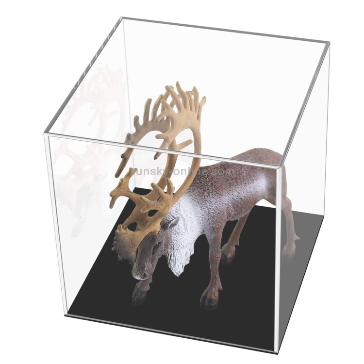 Large Display Covers Large 24x24x24cm Clear Acrylic Camera Display Cover Plexiglass Display ...