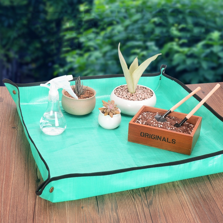 The Ultimate Transparent Waterproof Mesh Planting Operation Floor Mat will help you learn how to care for indoor plants without creating any mess in your home.