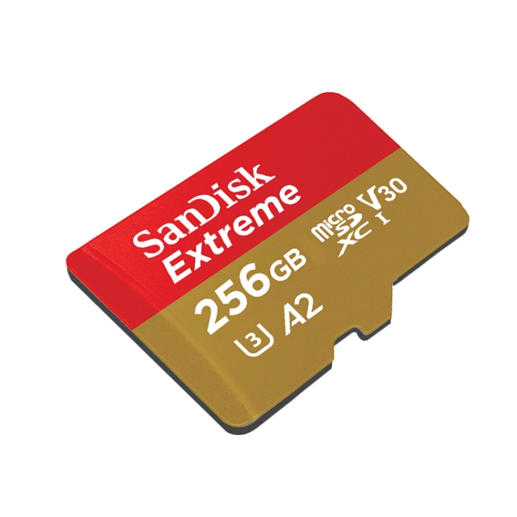 Carte mémoire TF SanDisk U3 High-Speed ​​Micro SD Card pour caméra de sport  GoPro, drone, surveillance 256 Go (A2), couleur: carte or