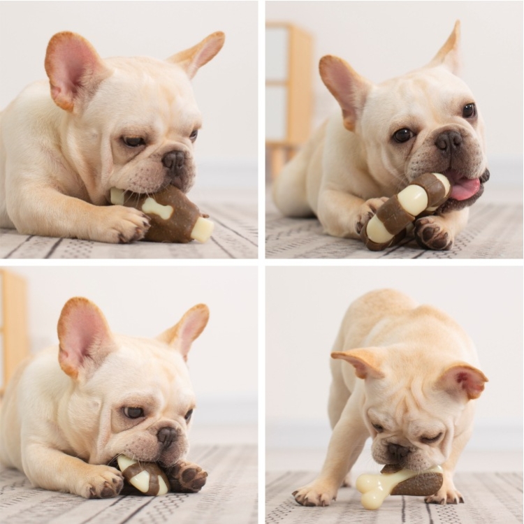 Juguete resistente al animal doméstico Nylon Cuero de vaca dientes molar para comer juguete de perro de hueso, especificación: Pequeño (alas de pollo) - B3