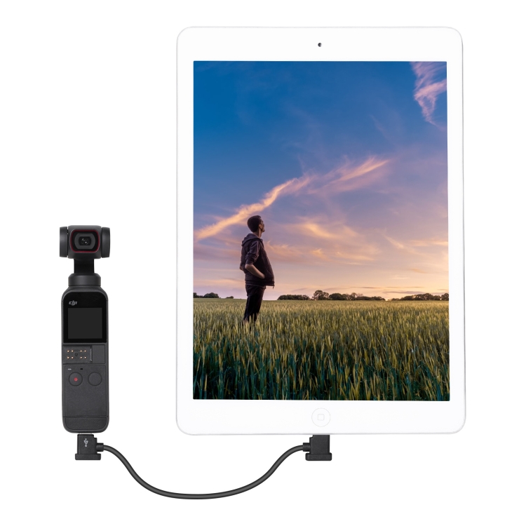 Sunnylife TY-X9304 Adecuado para DJI MAVIC AIR 2S / DJI FPV Gafas de vuelo V2 / MAVIC MINI2 / OSMO Pocket 2 Tablet Tablet Cable 15 cm Tipo-C a 8 PIN Cable - B4