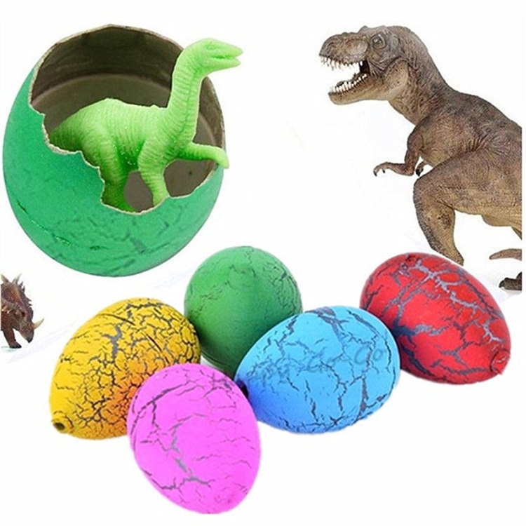 6 oeufs de dinosaure à couver de petite taille de PCS, livraison de couleur  aléatoire