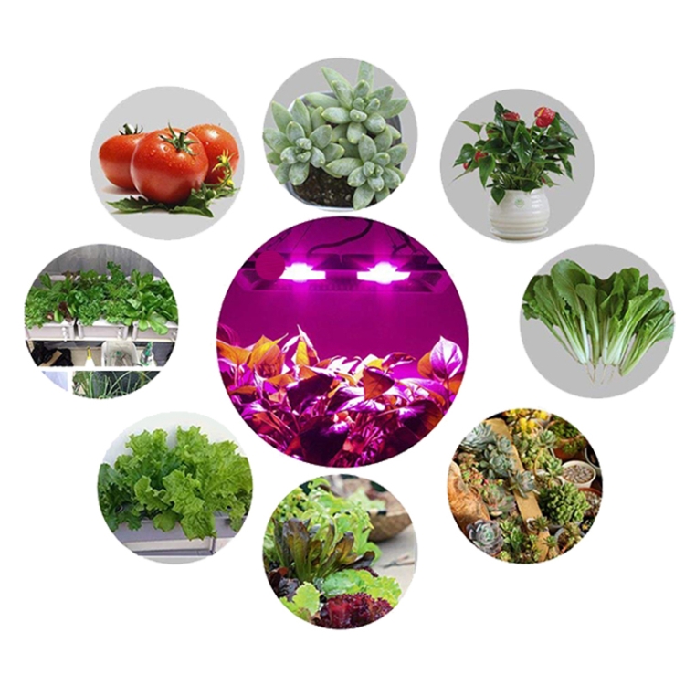 Luz de planta LED ultrafina de 50 W, luz de crecimiento COB de espectro  completo, luz de relleno de invernadero de vegetales, frutas y flores sin  enchufe