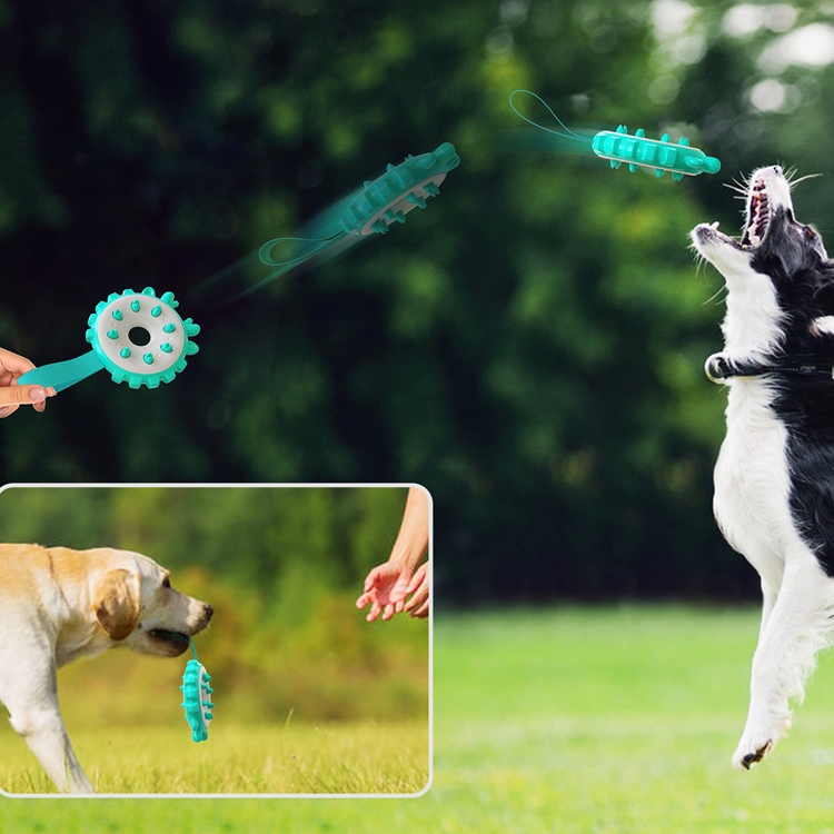 Juguete interactivo para perros, juguetes de bolas de limpieza de dientes  molares para perros, juguete para perros con cepillo de dientes esférico,  traje para perros pequeños, medianos y grandes