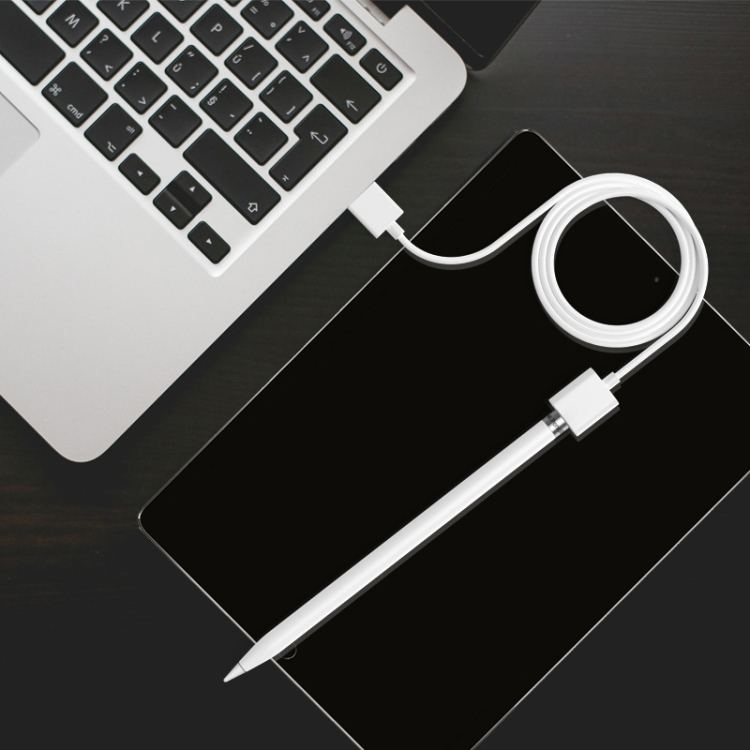 1m Stylus Charging Cable For Apple Pencil 1(White) 1m Stylus Charging Cable For Apple Pencil 1(White)