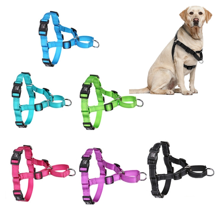 Glow castle dog on sale harness