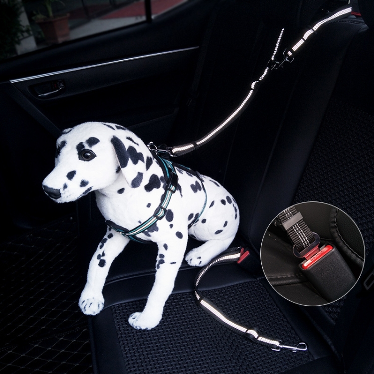 Pet Dual-purpose Car Reflective Seat Belt Dog Leash(Sky Blue)