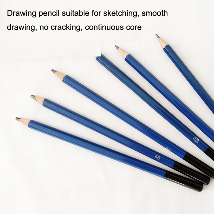 Art Supplies for Adults Kids, 81-Pack Pro Art Kit School Drawing Supplies  Pencil Set, Sketch Book, Sketching Pencils Kits, Graphite Pencils, Charcoal  Pencils, Watercolor Metallic Sketch Art Pencils 