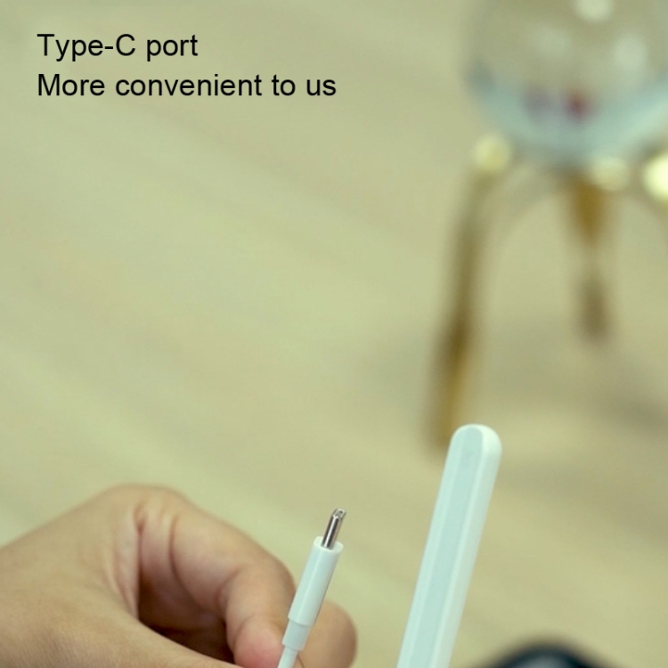 For Apple Pencil 2 RX-01 Capacitive Pen Magnetic Charging Cable For Apple Pencil 2 RX-01 Capacitive Pen Magnetic Charging Cable